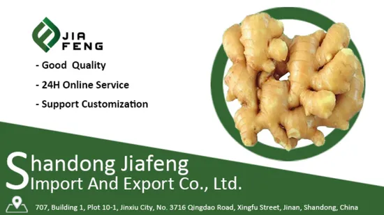 Export Quality Frozen Potato Chips and Frozen Vegetables