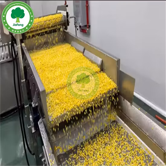 China Organic Frozen Super Sweet Corn Kernels IQF Corn with Brix 8