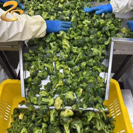 Frozen Winter California Mixed Vegetables Blend IQF Supreme 3/4/Ways Vegetables Blend Pepper Strip Carrot Cauliflower Broccoli