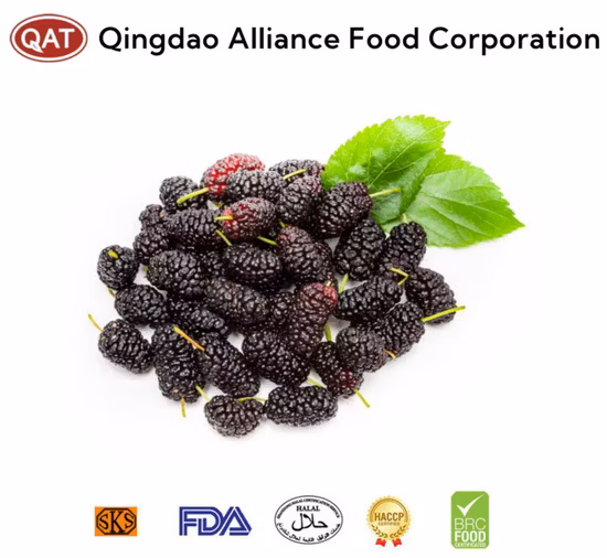 High Quality of Frozen Fruits and Mulberry for Exporting
