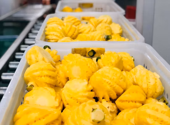 Best Selling Hot Frozen Dried Fruit Not Organic High Quality Freeze Dried