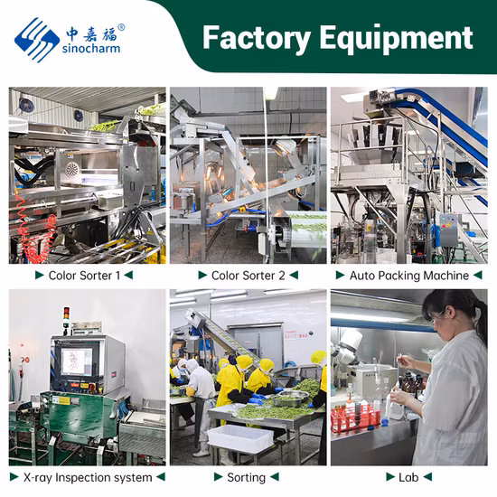 IQF Frozen Fresh Grapes IQF Grapes Fruit